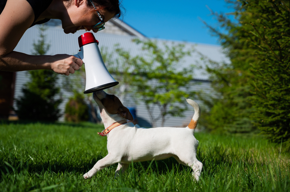 Frau schreit ihren Hund an