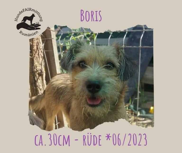 Boris